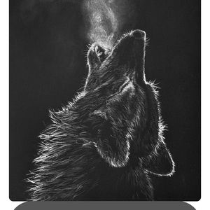 Meet your Posher, Ricky